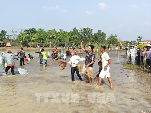 Trong phần trò chơi dân gian truyền thống dĩen ra sau phần nghi lễ, người dân trực tiếp xuống bàu bắt cá. Con cá lớn bắt đầu tiên sẽ dâng cho già làng. Mọi người sau đó lấy sản phẩm bắt được cùng nướng và chế biến các món ăn truyền thống để ăn tại lễ hội. Ảnh: K GƯỈH - TTXVN