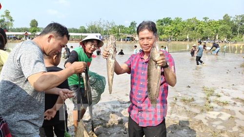 Trong phần trò chơi dân gian truyền thống dĩen ra sau phần nghi lễ, người dân trực tiếp xuống bàu bắt cá. Con cá lớn bắt đầu tiên sẽ dâng cho già làng. Mọi người sau đó lấy sản phẩm bắt được cùng nướng và chế biến các món ăn truyền thống để ăn tại lễ hội. Ảnh: K GƯỈH - TTXVN
