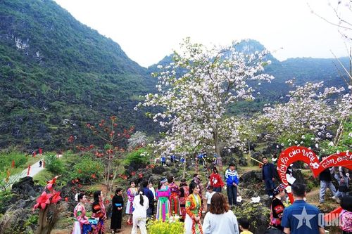 Du khách và người dân cùng hòa mình vào không gian lễ hội giữa rừng hoa.