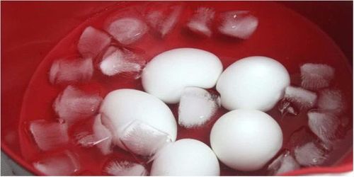 Sau khi luộc trứng, đại đa số chúng ta có thói quen ngâm trứng gà vào nước lạnh để mau nguội và dễ lột vỏ. Tuy nhiên, đây là cách làm hoàn toàn không đảm bảo vệ sinh.