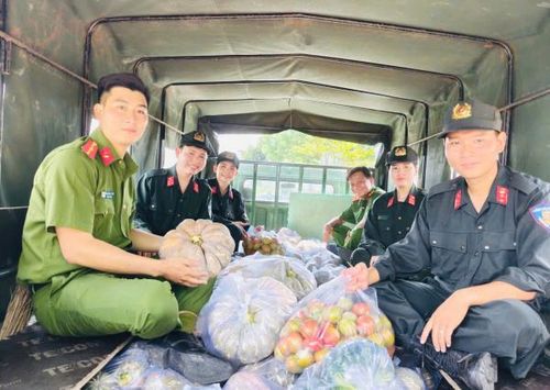 CBCS Phòng Cảnh sát cơ động đến vườn thu mua bí cho người dân.