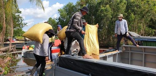 Thủ tướng yêu cầu lập đoàn liên ngành kiểm tra việc thực hiện thu mua, xuất nhập khẩu lúa gạo. Ảnh: VÂN DU