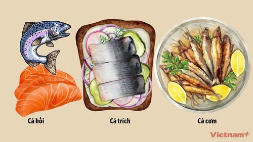  Các loại cá giàu axit béo Omega-3. (Ảnh: Vietnam+) 