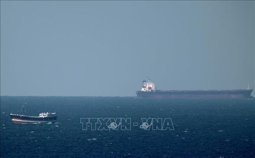 Tàu chở dầu tại Eo biển Hormuz ở ngoài khơi vùng biển Khasab (Oman). Ảnh tư liệu: AFP/TTXVN