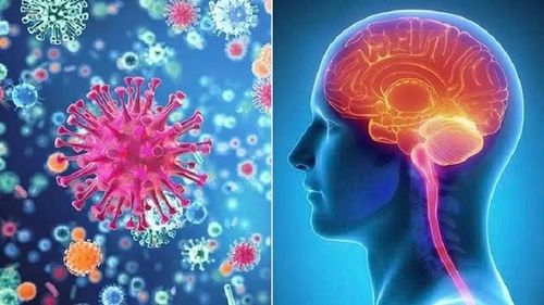 Viêm màng não mô cầu là bệnh truyền nhiễm cấp tính, diễn biến nhanh và có tỷ lệ tử vong cao. Ảnh: VOV