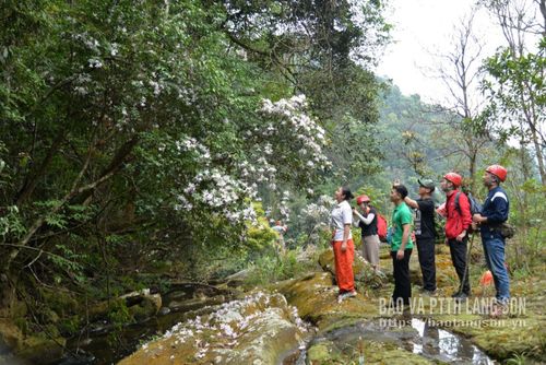 Đoàn khảo sát ghi hình, chụp ảnh tư liệu tại những địa điểm đẹp nhằm quảng bá vẻ đẹp của vùng CVĐC toàn cầu.