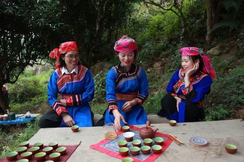 Văn hóa trà dưới tán cây cổ thụ hàng trăm tuổi. (Ảnh: Anh Đoàn)