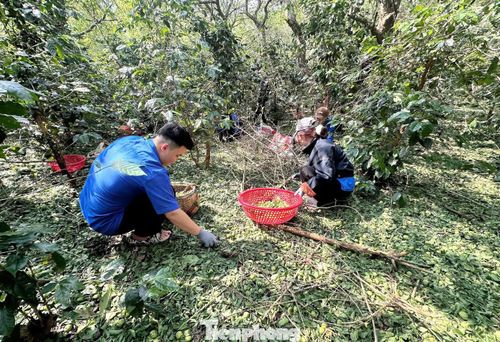 Đoàn viên thanh niên phơi mình dưới nắng hỗ trợ người dân.