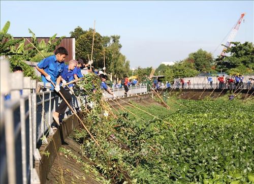 Đoàn viên thanh niên TP Hồ Chí Minh tham gia Ngày Chủ nhật xanh.
