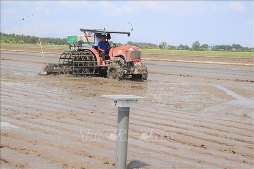 Sau hai năm thực hiện "Đề án 1 triệu ha lúa", lượng lúa giống gieo sạ giảm từ mức 120 - 200 kg/ha xuống chỉ còn 70 kg/ha.