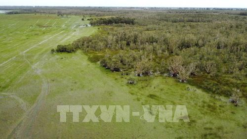 Vùng đất ngập nước tại Vườn quốc gia Tràm Chim. Ảnh: Nhựt An - TTXVN