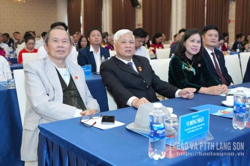 Các đồng chí nguyên lãnh đạo Tỉnh đoàn các thời kỳ và các đại biểu tham dự chương trình