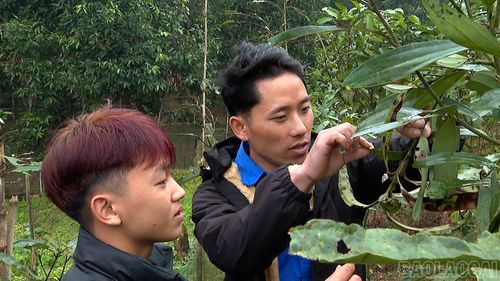 Thế hệ trẻ hôm nay tiếp nối truyền thống, nỗ lực lao động, sản xuất xây dựng quê hương.