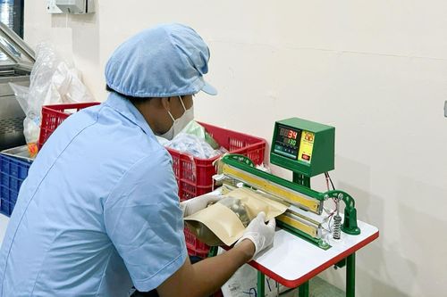 Đóng gói sản phẩm thanh long