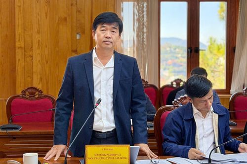 Giám đốc Sở Nông nghiệp và Môi trường Phan Nguyễn Hoàng Tân nêu tình hình rà soát các nội dung