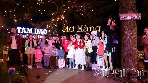Không gian âm nhạc về đêm góp phần đem đến điển nhấn giải trí độc đáo, thu hút du khách tới Tam Đảo.