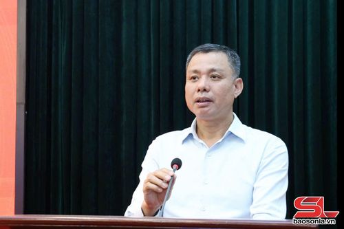 Đồng chí Phó Chủ tịch UBND tỉnh phát biểu tại hội nghị.