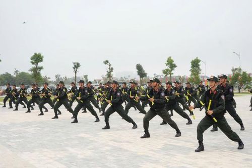 CBCS Trung đoàn CSCĐ Trung Bộ biểu diễn võ thuật.