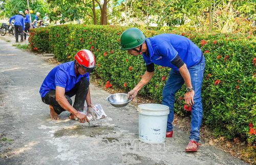Các bạn đoàn viên, thanh niên tích cực thực hiện các công trình, phần việc.