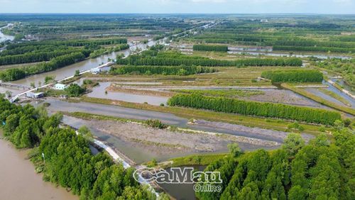 Ban Quản lý rừng phòng hộ Đất Mũi hiện quản lý gần 23.700 ha rừng.