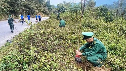 Bộ đội Biên phòng cùng thanh niên trồng cây xanh bên đường giao thông nơi biên giới.