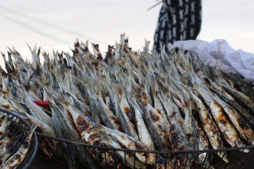 Bà Bùi Thị Cảnh (trú xóm Thái Thịnh, xã Hải Châu) cho biết, do tuổi cao không làm được việc nặng nhọc nên bà cùng người chị dâu ra gần đường ven biển nướng cá bán kiếm tiền.