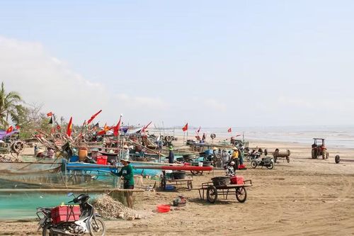 Thuyền về bến, các thành viên trong gia đình khẩn trương rũ cá từ những tấm lưới nặng trĩu. Người dân phấn khởi vì năm nay cá trích được mùa, được giá.