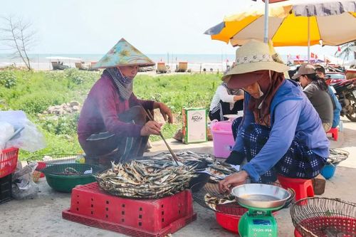 Ngoài ra, cá trích còn được nướng bán ngay bên bãi biển. Sau khi rửa sạch, cá được nướng trực tiếp trên bếp than để du khách có thể thưởng thức ngay tại chỗ hoặc mang về nhà.