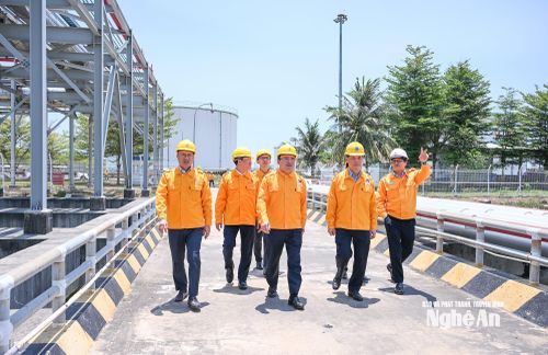 Đoàn công tác tỉnh Nghệ An tham quan hệ thống cầu cảng chuyên dụng. Ảnh: Thành Cường