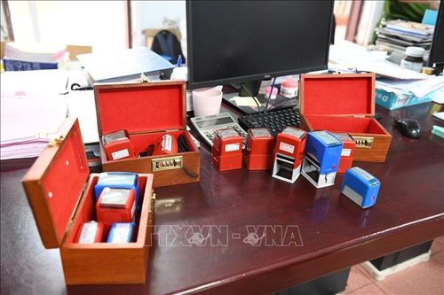 Tang vật trong chuyên án được lực lượng chức năng thu giữ. Ảnh: TTXVN phát
