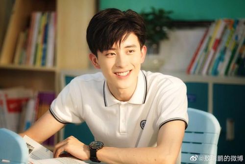 Ngao Thụy Bằng là đại diện tiêu biểu cho nhóm mỹ nam tăng trưởng. Không quá đình đám ban đầu, anh dần tích lũy độ nhận diện qua các dự án cổ trang, ghi dấu nhờ ngoại hình nam tính và thần thái cuốn hút.