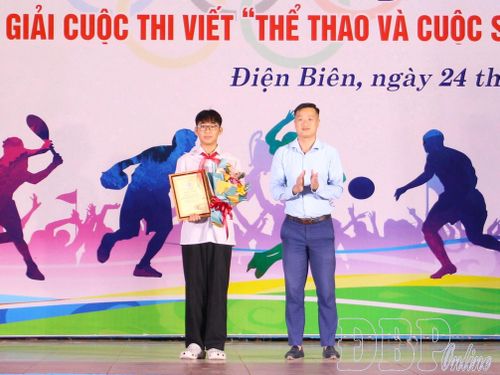 Tác giả Phạm Quang Bảo An, Trường THCS Tân Bình, phường Điện Biên Phủ đạt giải Truyền cảm hứng.