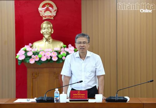 Phó Chủ tịch UBND tỉnh Trần Hòa Nam phát biểu tại cuộc họp.