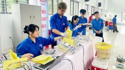 Đoàn viên, thanh niên tham gia hỗ trợ tiếp nhận, phân loại và bảo quản máu tại điểm hiến máu.