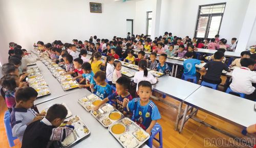Cơ sở vật chất đầy đủ, môi trường học tập đảm bảo giúp gia đình yên tâm gửi gắm con em cho nhà trường chăm sóc và giáo dục.