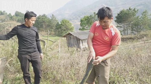 Đường ống dẫn nước lên ruộng đã không còn sử dụng.