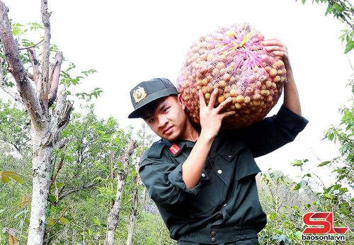 Cán bộ, chiến sĩ Phòng Cảnh sát Cơ động, Công an tỉnh hỗ trợ nhân dân vận chuyển nông sản bị thiệt hại do mưa đá.