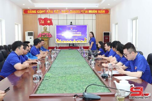 Chi đoàn Báo và PTTH tỉnh sinh hoạt chuyên đề Ngày thành lập Đoàn TNCS Hồ Chí Minh.