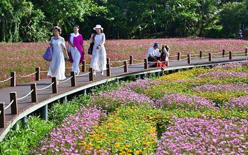 Khách du lịch "săn" hoa mùa xuân nở rộ ngày 17/3 tại thị trấn duyên hải Bác Ngao (tỉnh Hải Nam, Trung Quốc) - nơi tổ chức Diễn đàn châu Á Bác Ngao 2026 từ 24-27/3. Ảnh: Xinhua