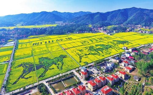 Nền kinh tế mùa xuân của Trung Quốc góp phần thúc đẩy sự thịnh vượng, nuôi dưỡng tăng trưởng công nghiệp và phát triển nông thôn. (Ảnh chụp cánh đồng hoa cải dầu ở Hành Dương, tỉnh Hồ Nam, Trung Quốc ngày 13/3). Ảnh: VCG