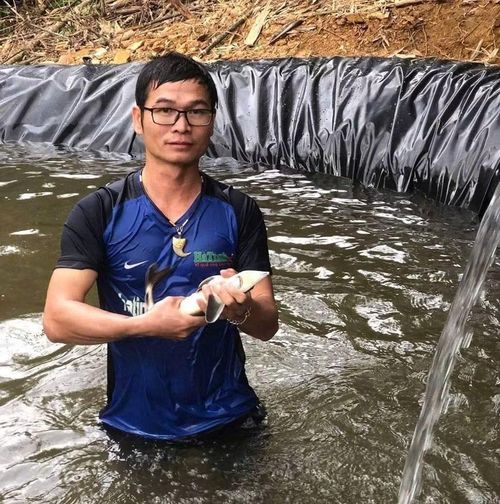 “Để có một con cá tầm phát triển tốt ở hồ Ngàn Trươi tốn rất nhiều công sức “ anh Dương Trí Thức chủ hợp tác xã chia sẻ.