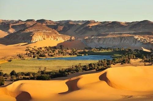 Hệ sinh thái mong manh nhưng đặc biệt. Dù điều kiện tự nhiên khắc nghiệt, nơi đây vẫn có cá, thực vật và chim sinh sống. Ảnh: Pinterest.