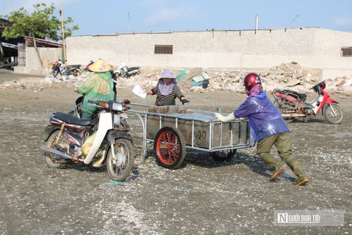 Nhờ có hệ thống các cơ sở chế biến tại chỗ, việc tiêu thụ diễn ra nhanh chóng, thuận lợi. Giá sứa tươi hiện dao động từ 1.500 - 2.000 đồng/kg. 