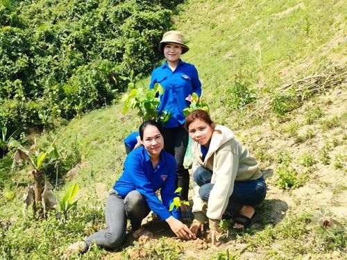 Chị Nguyễn Thị Trâm (ngồi bên trái) cùng đoàn viên thanh niên tham gia trồng cây, góp phần phủ xanh đất trống vùng cao.