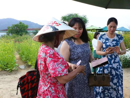 Du khách đến tham quan, chụp ảnh ủng hộ, mong muốn góp phần giúp bà chủ tiếp tục duy trì và chăm sóc vườn hoa ngày càng đẹp hơn.