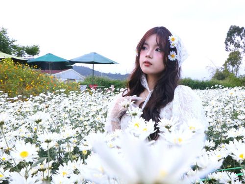 Vân Khánh rạng rỡ tạo dáng bên những khóm cúc họa mi, lưu lại khoảnh khắc thanh xuân.