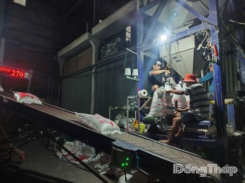 Các doanh nghiệp xuất khẩu gạo đang nỗ lực vượt qua khó khăn.