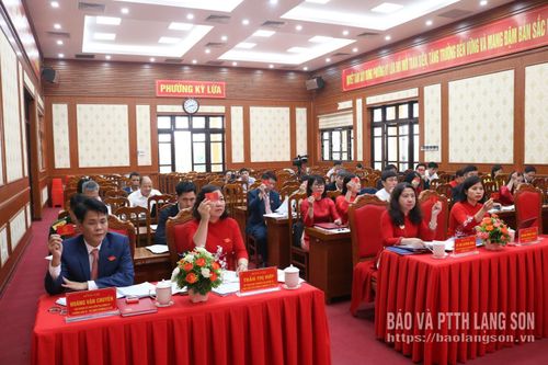 Các đại biểu biểu quyết thông qua các nghị quyết tại kỳ họp