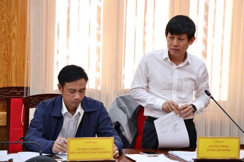 Lãnh đạo Sở Tài chính phát biểu, hướng dẫn hoàn thiện hồ sơ tài chính của dự án
