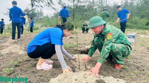 Trong không khí sôi nổi của Tháng Thanh niên, Chi đoàn Đồn Biên phòng Ngư Thủy, Bộ đội Biên phòng tỉnh Quảng Trị phối hợp với Đoàn Thanh niên xã Cam Hồng, tỉnh Quảng Trị trồng cây xanh dọc bãi biển. Ảnh: Ngọc Hòa